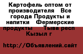 Картофель оптом от производителя - Все города Продукты и напитки » Фермерские продукты   . Тыва респ.,Кызыл г.